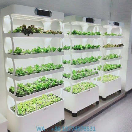 Home Automation Systems Diy - Hydroponic Automated Grow SystemIntelligent Hydroponic Growing