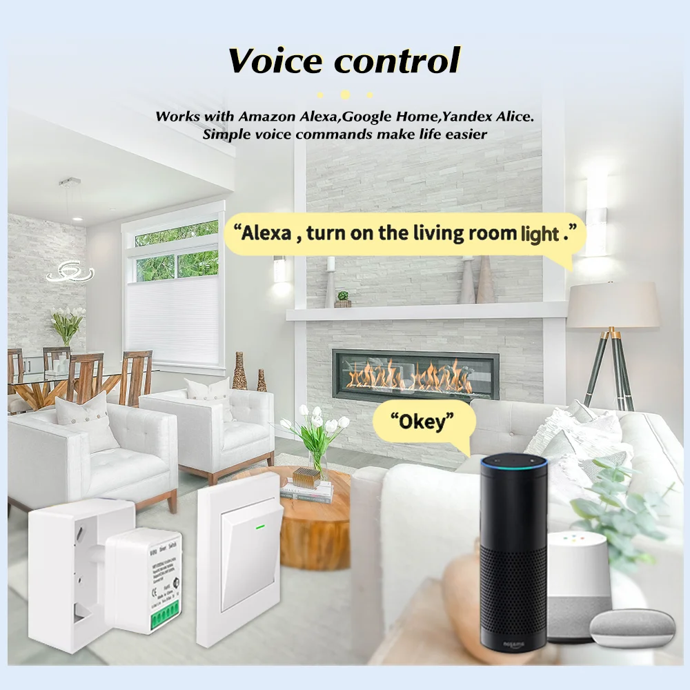 For Tuya Mini Smart WiFi Switc - đánh giá và giá Diy Home Automation Controller