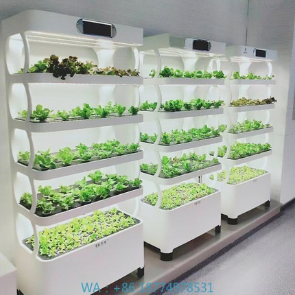 Iydroponic Automated Grow Syst - đánh giá và giá Home Automation Systems Diy